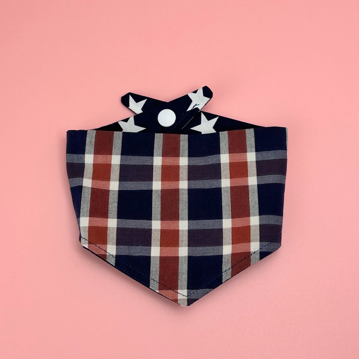 Small - Reversible, Popper style - Pet Bandana Gift